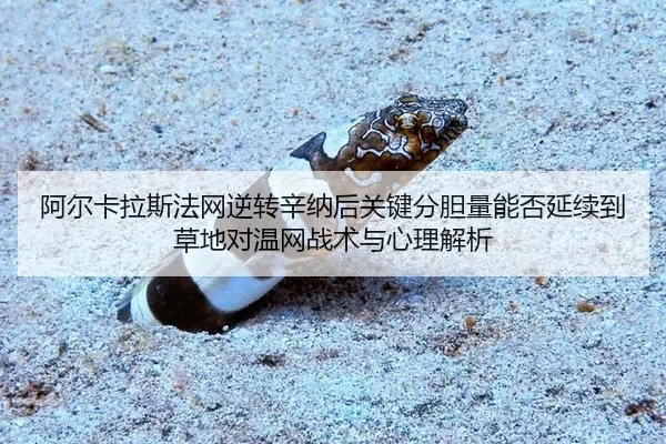 阿尔卡拉斯法网逆转辛纳后关键分胆量能否延续到草地对温网战术与心理解析