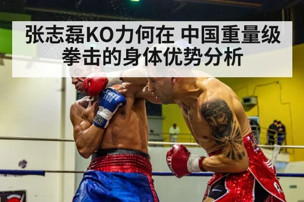 boxer knockout punch